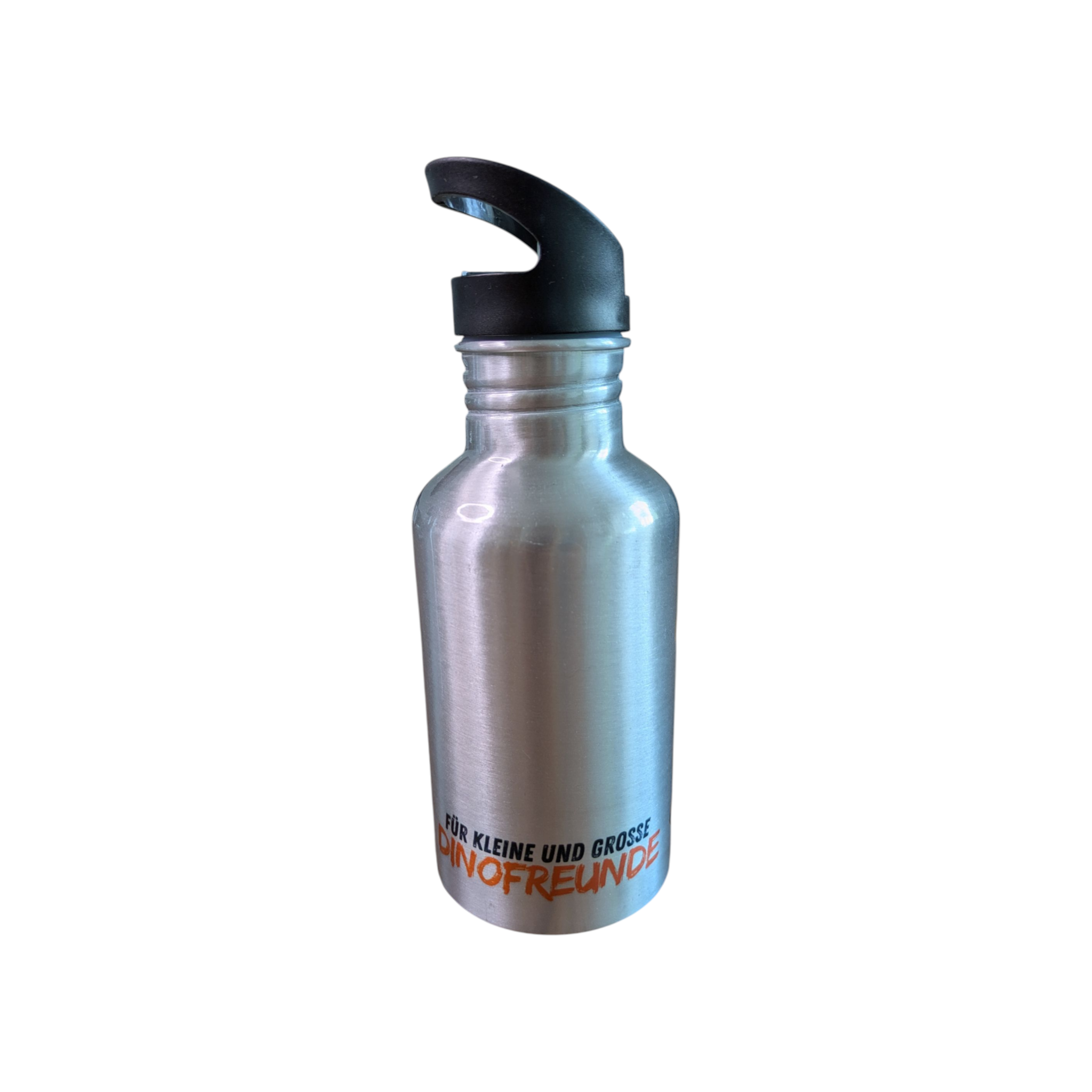 Aluminium-Trinkflasche mit Halm – Dinosaurier-Design 350 ml