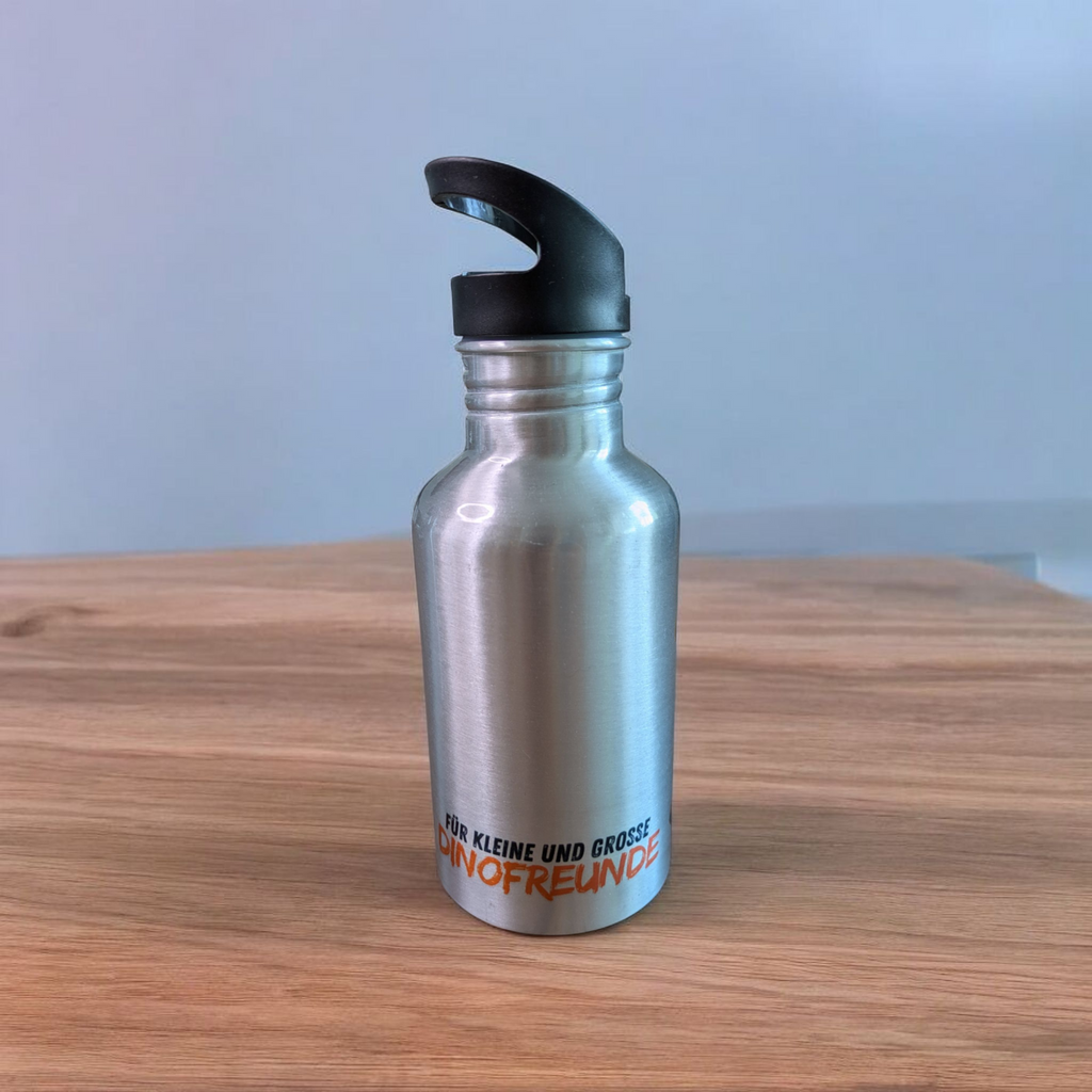 Aluminium-Trinkflasche mit Halm – Dinosaurier-Design 350 ml