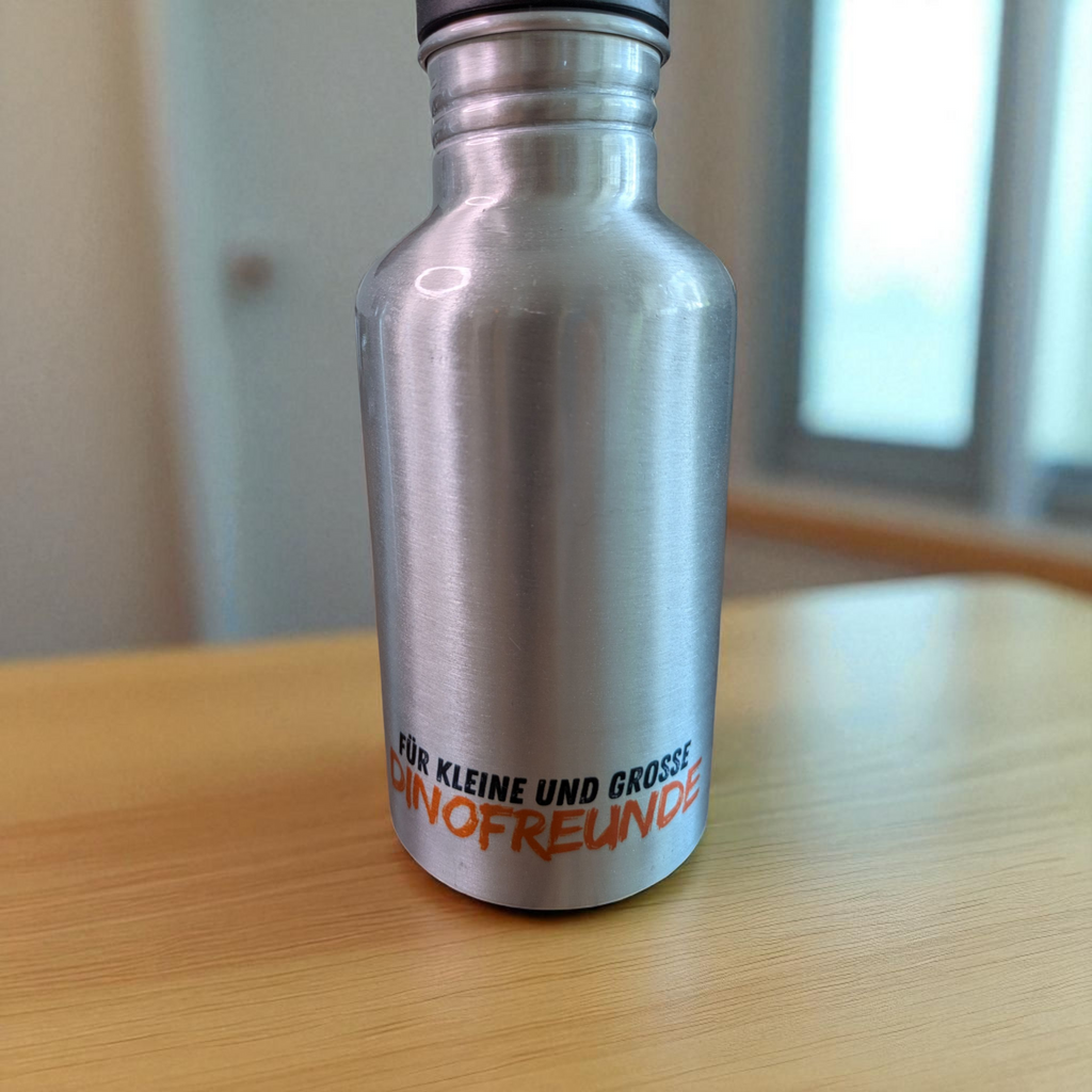 Aluminium-Trinkflasche mit Halm – Dinosaurier-Design 350 ml